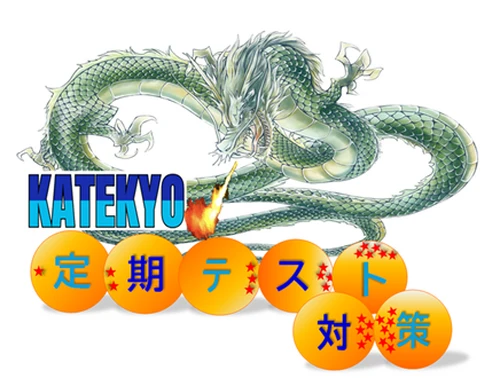 定期テスト画像（龍）
