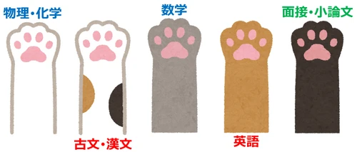 猫の手
