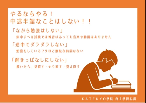 やるならやる